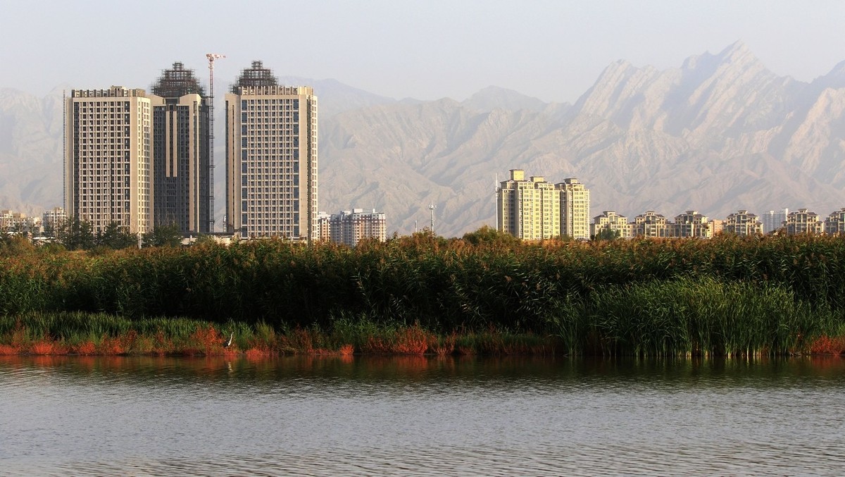 就近随拍了几张