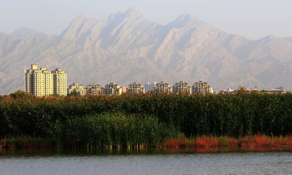 就近随拍了几张