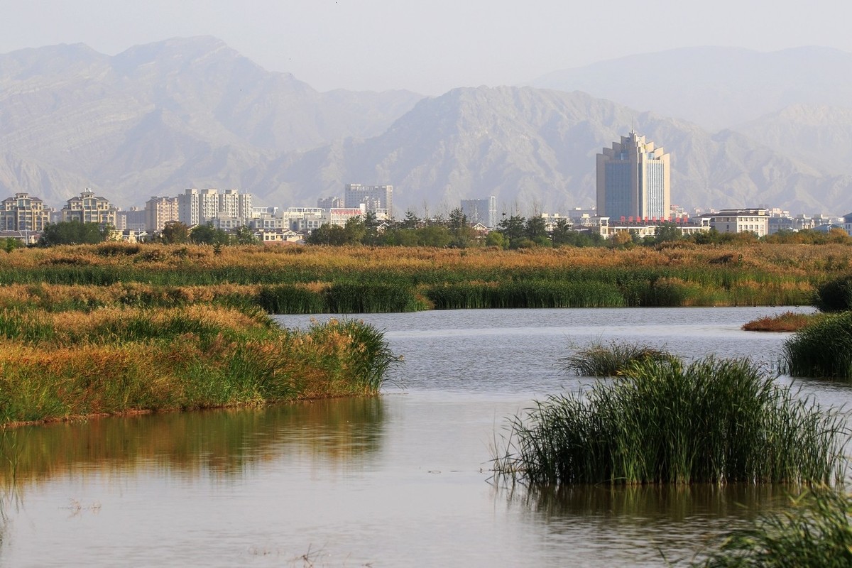 就近随拍了几张