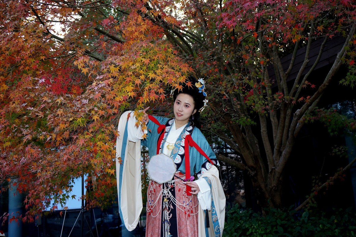 枫叶树下的古装美女