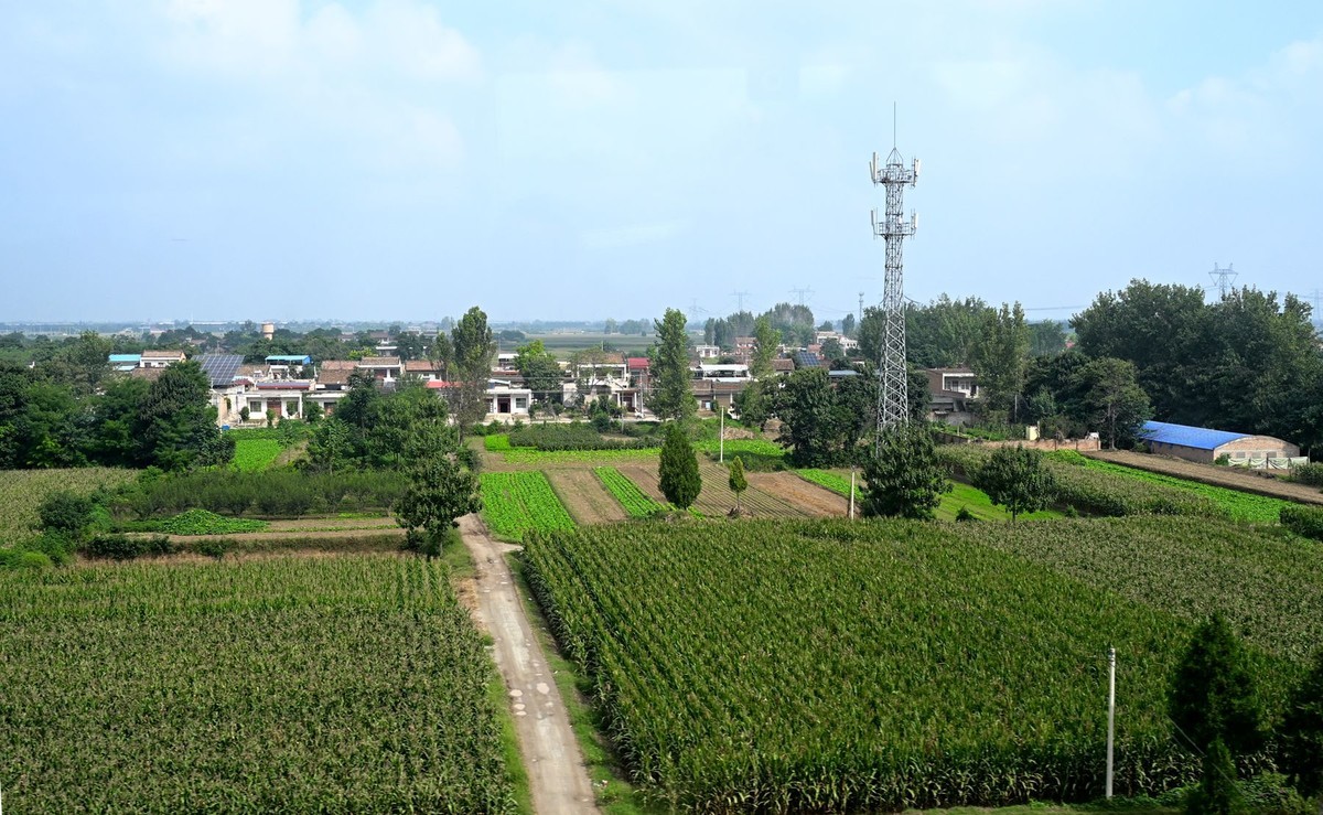 西安至华山高铁路旁风光随拍