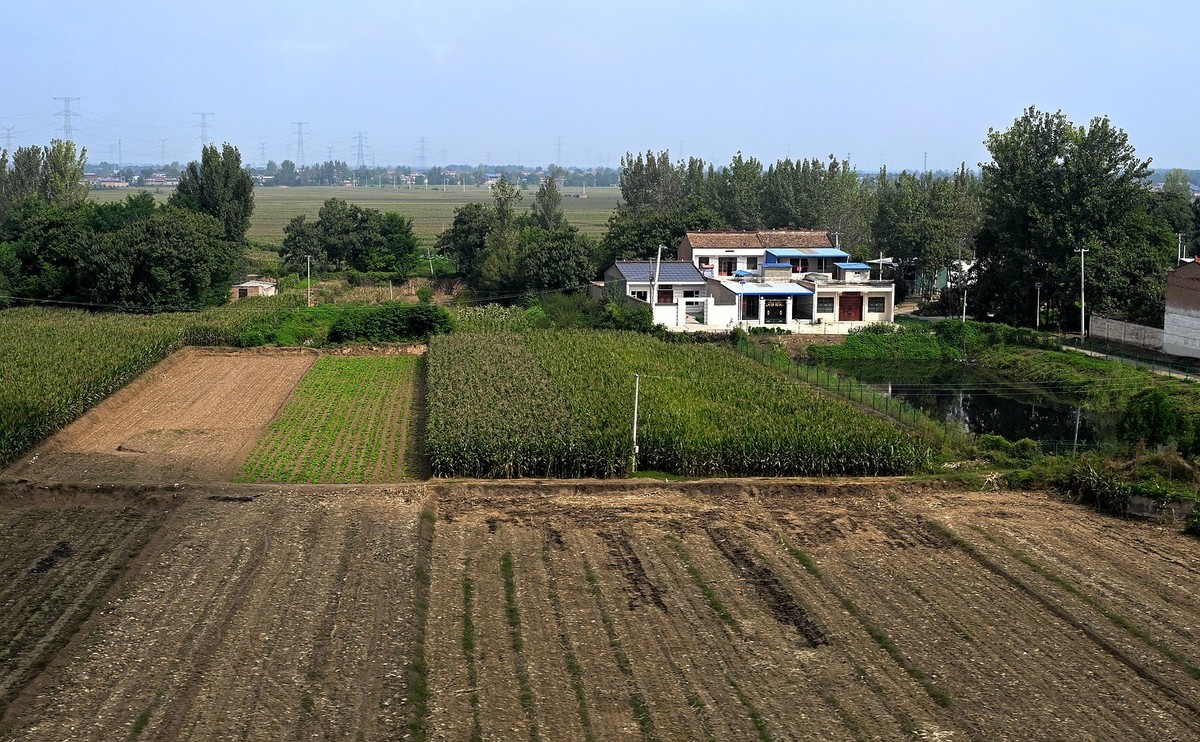 西安至华山高铁路旁风光随拍