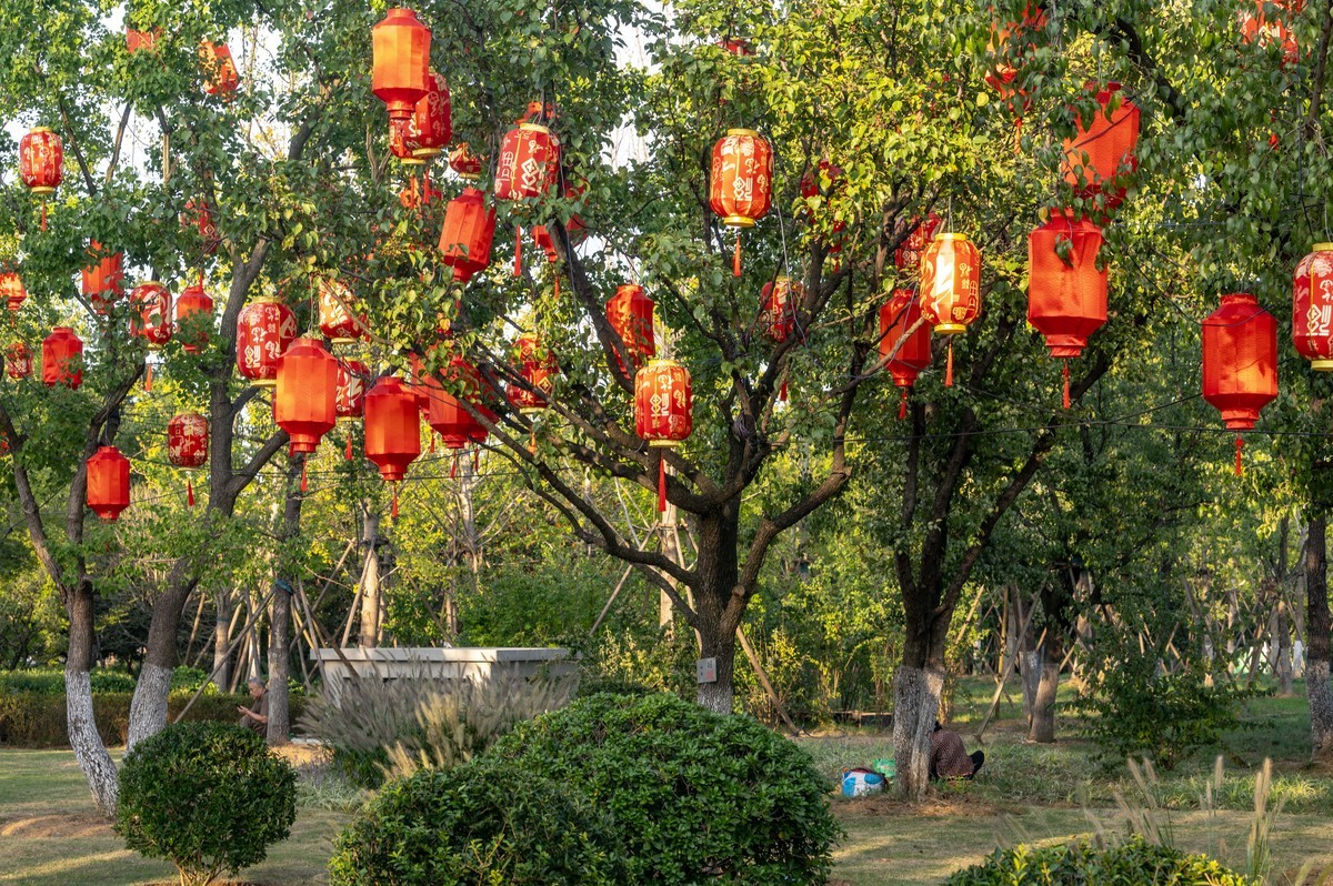 庐州印象（386）