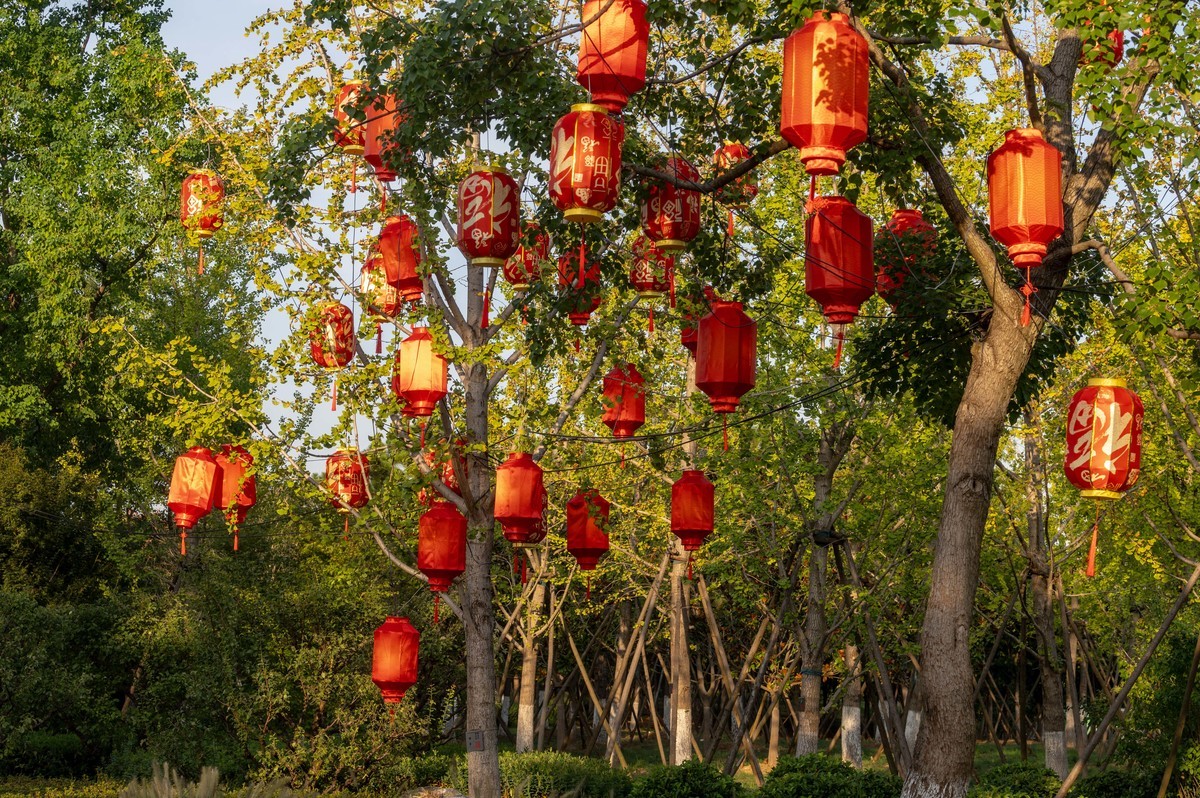 庐州印象（386）