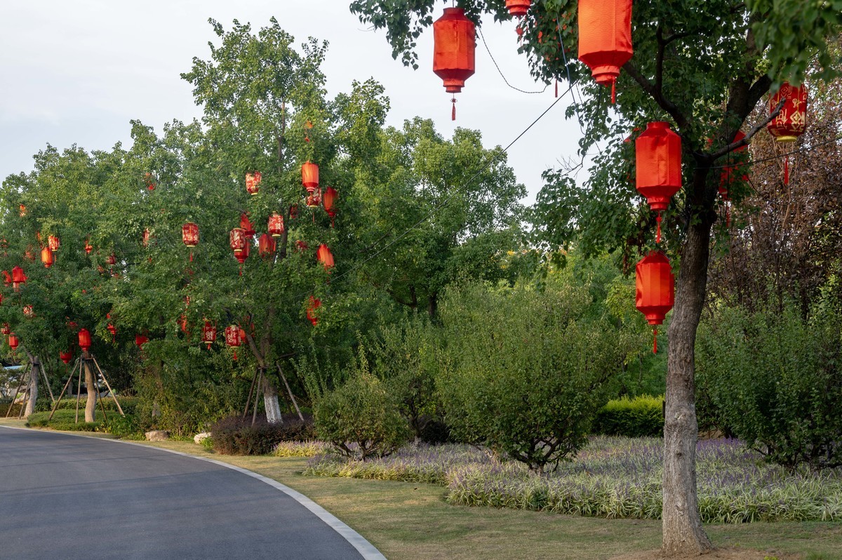 庐州印象（386）