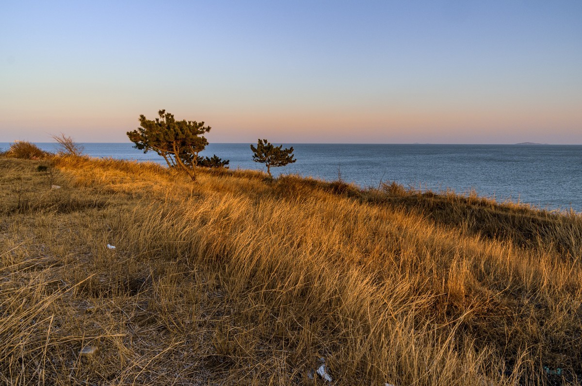 万事万物皆有期限
