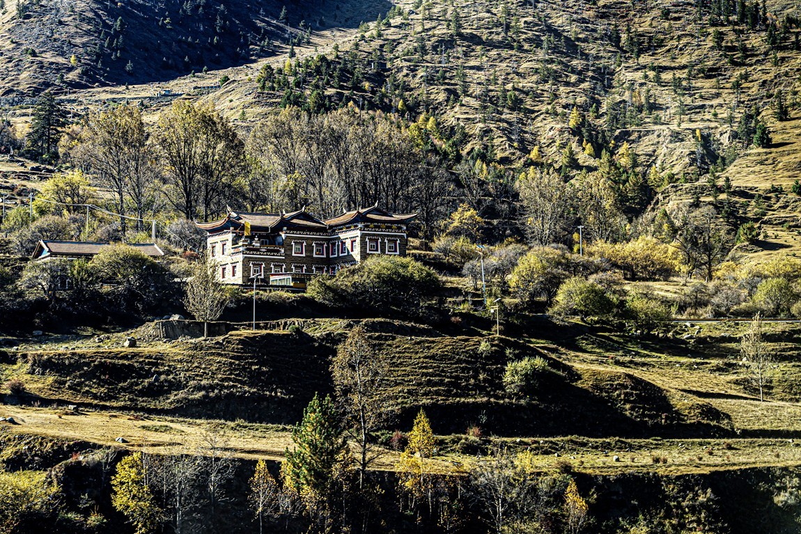 行走在318国道--新都桥段【3】