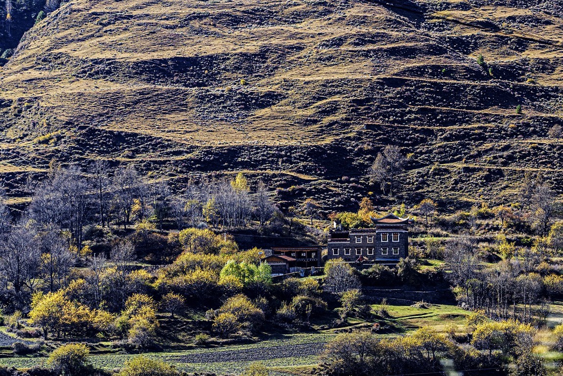 行走在318国道--新都桥段【3】