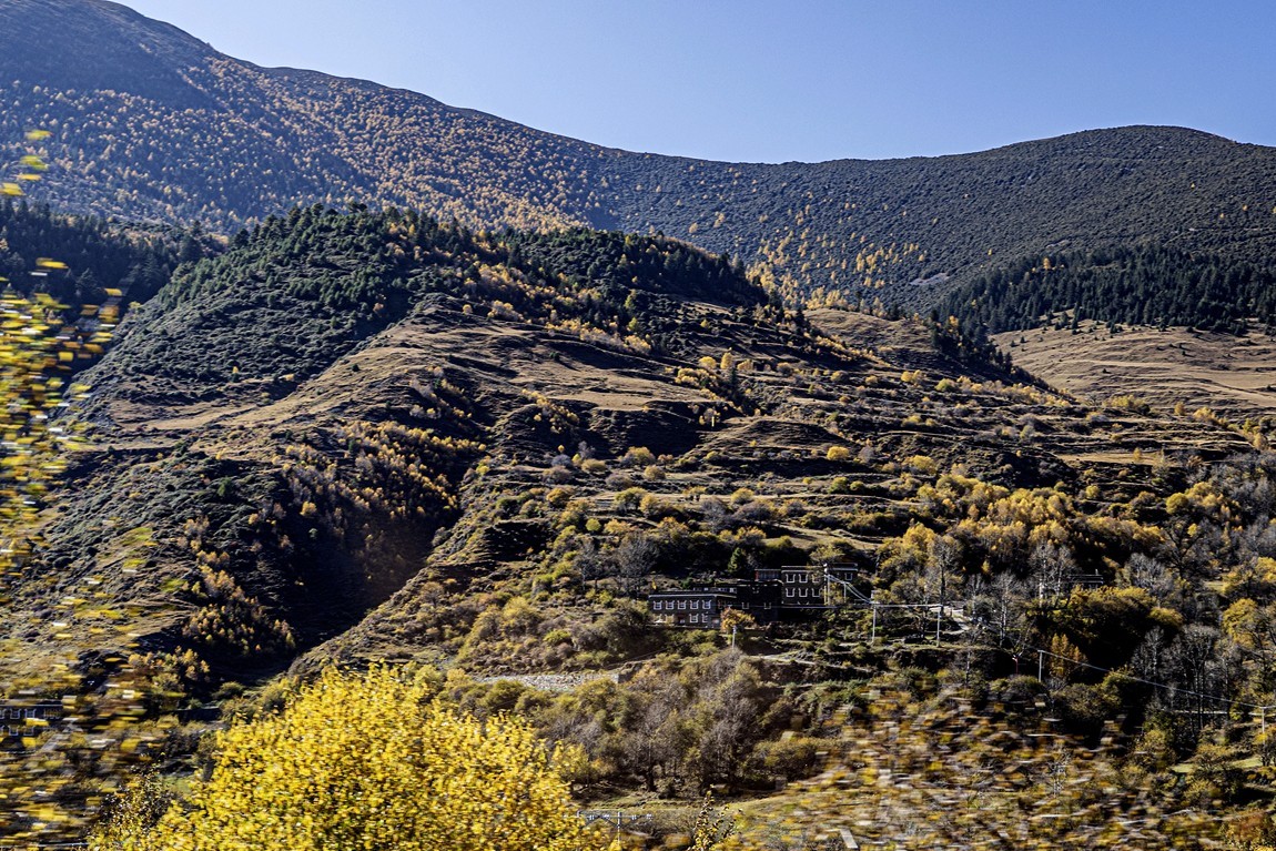 行走在318国道--新都桥段【3】