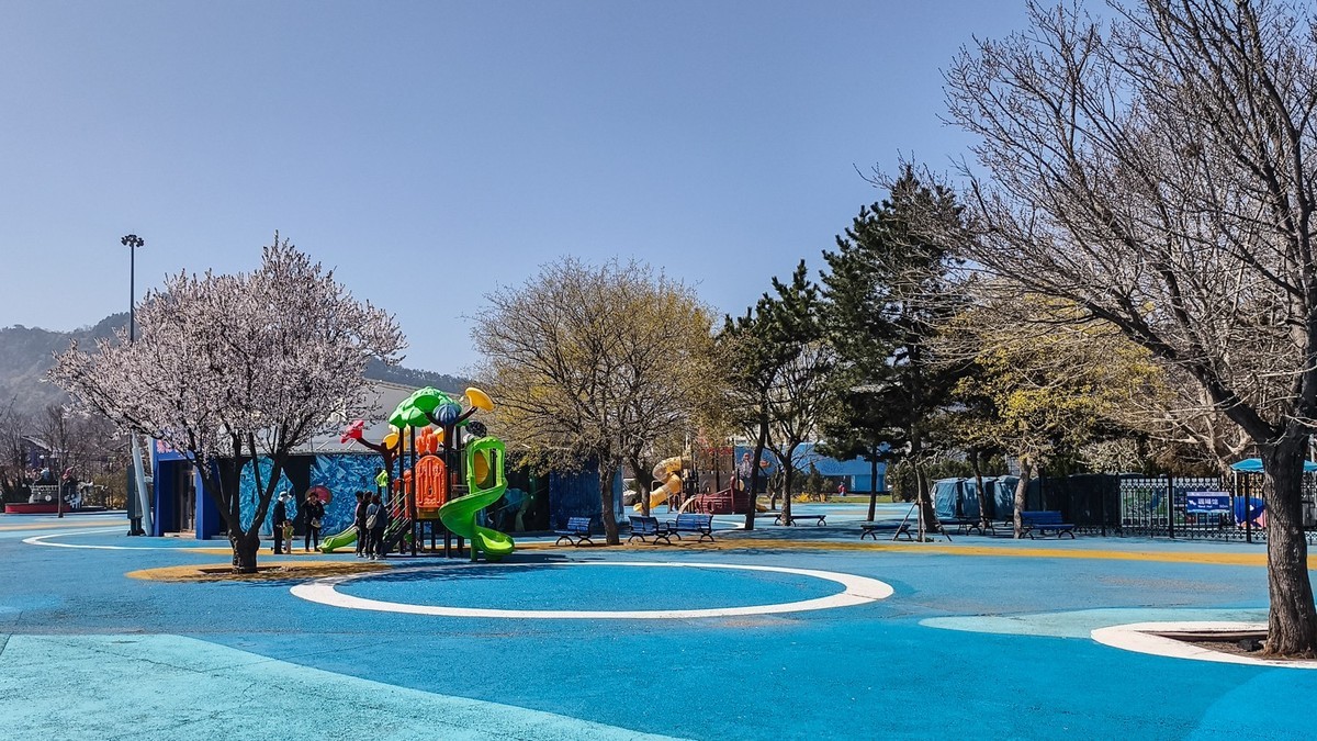 春 和 景 明 游 虎 滩