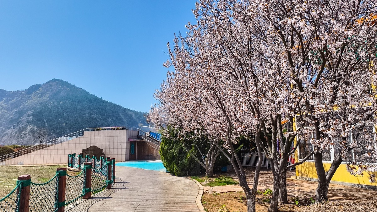 春 和 景 明 游 虎 滩