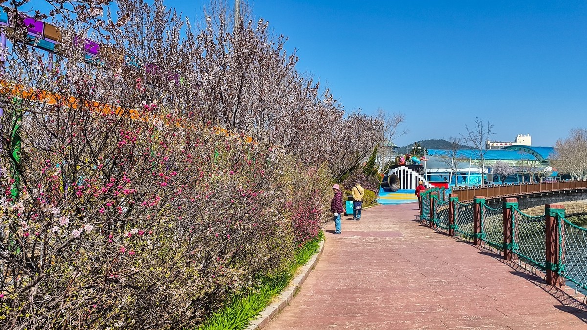 春 和 景 明 游 虎 滩