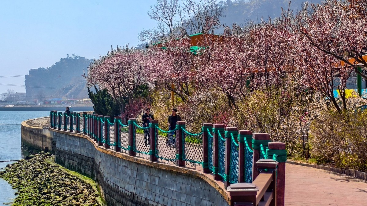 春 和 景 明 游 虎 滩