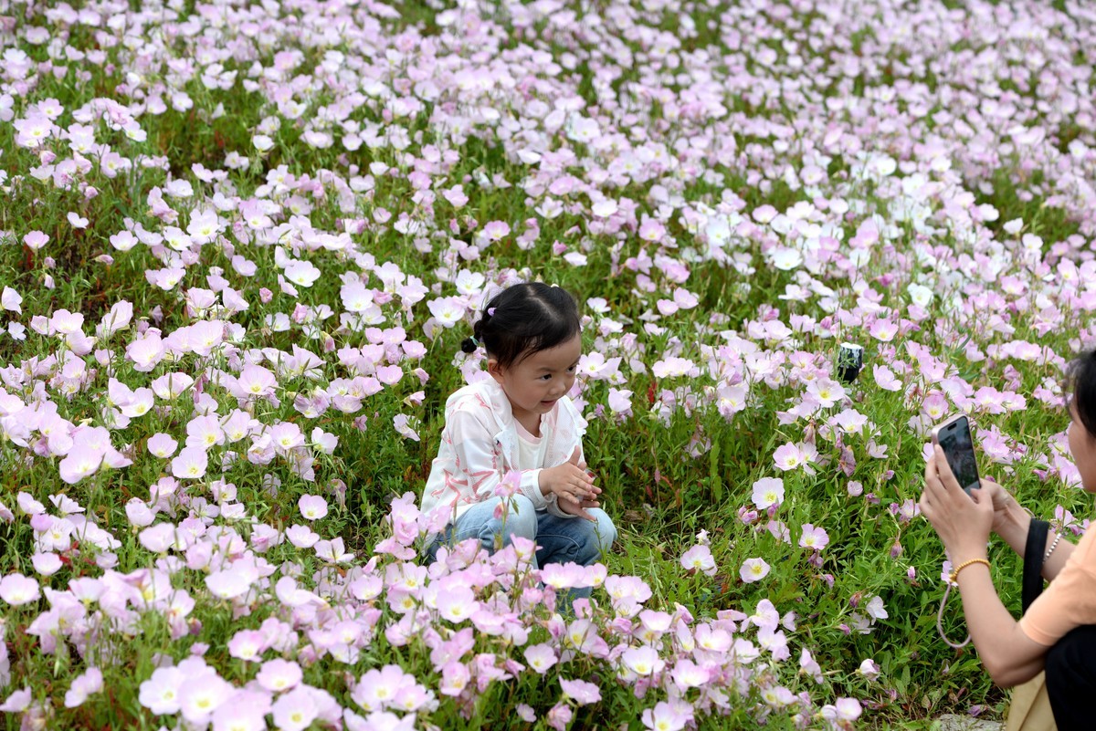 买了个微距试拍（港版）