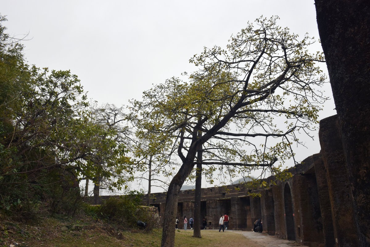 2025春节 广东行（130）崖门古战场遗迹