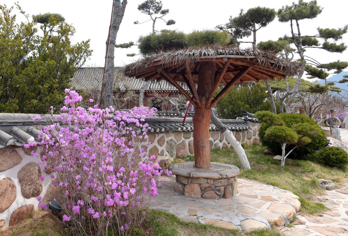 春游韩园（一）