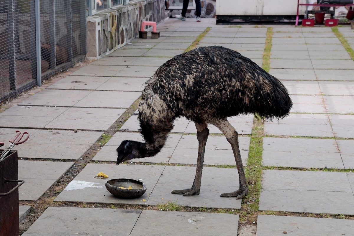 春游韩园（一）
