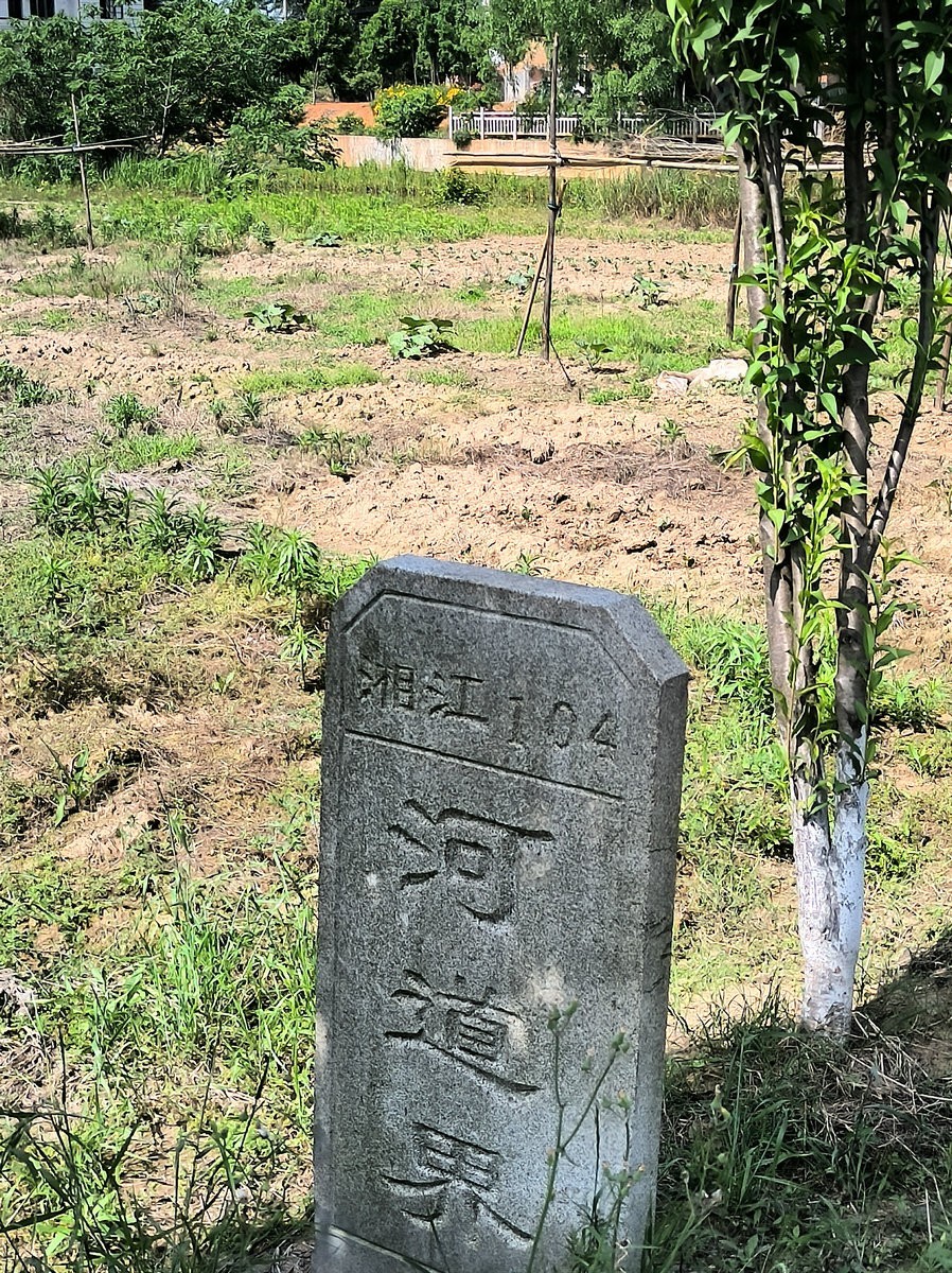 2025春夏之季 湘赣边（15）杜甫与挽洲岛