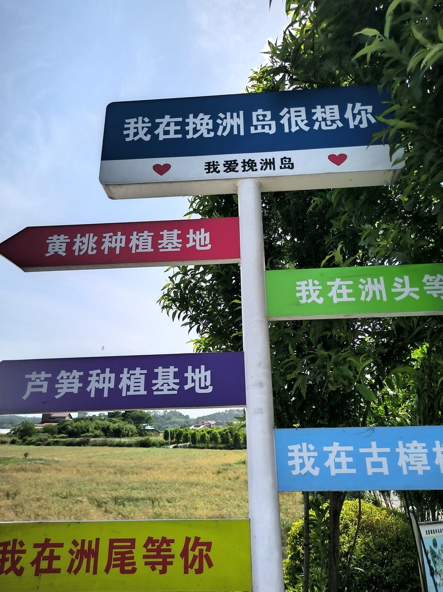 2025春夏之季 湘赣边（16）挽洲，湘江中的绿洲