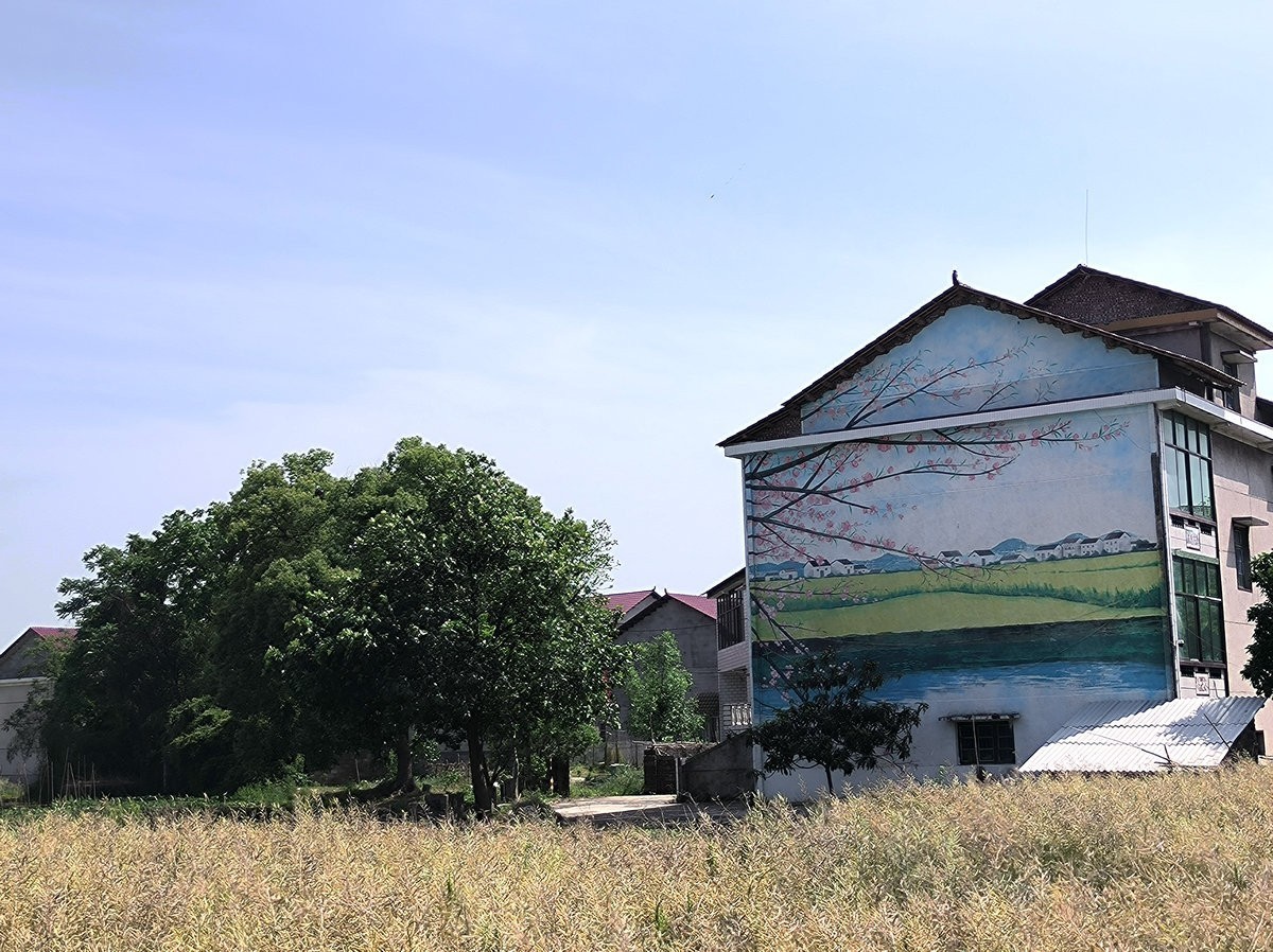 2025春夏之季 湘赣边（16）挽洲，湘江中的绿洲