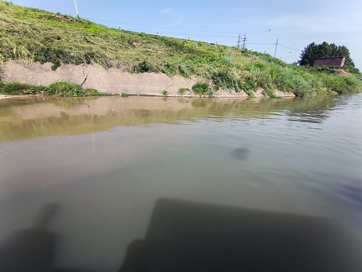 2025春夏之季 湘赣边（16）挽洲，湘江中的绿洲