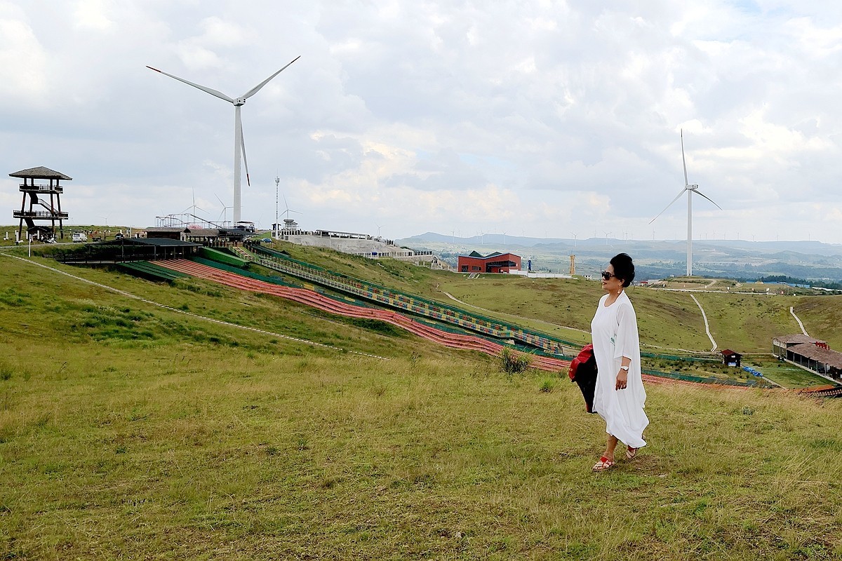 老婆 婆游龙里油画草原