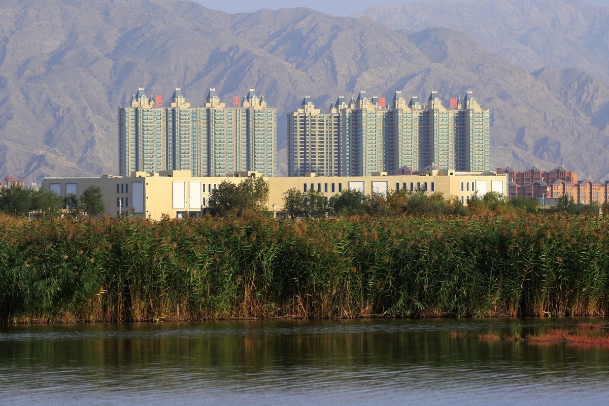 就近随拍了几张