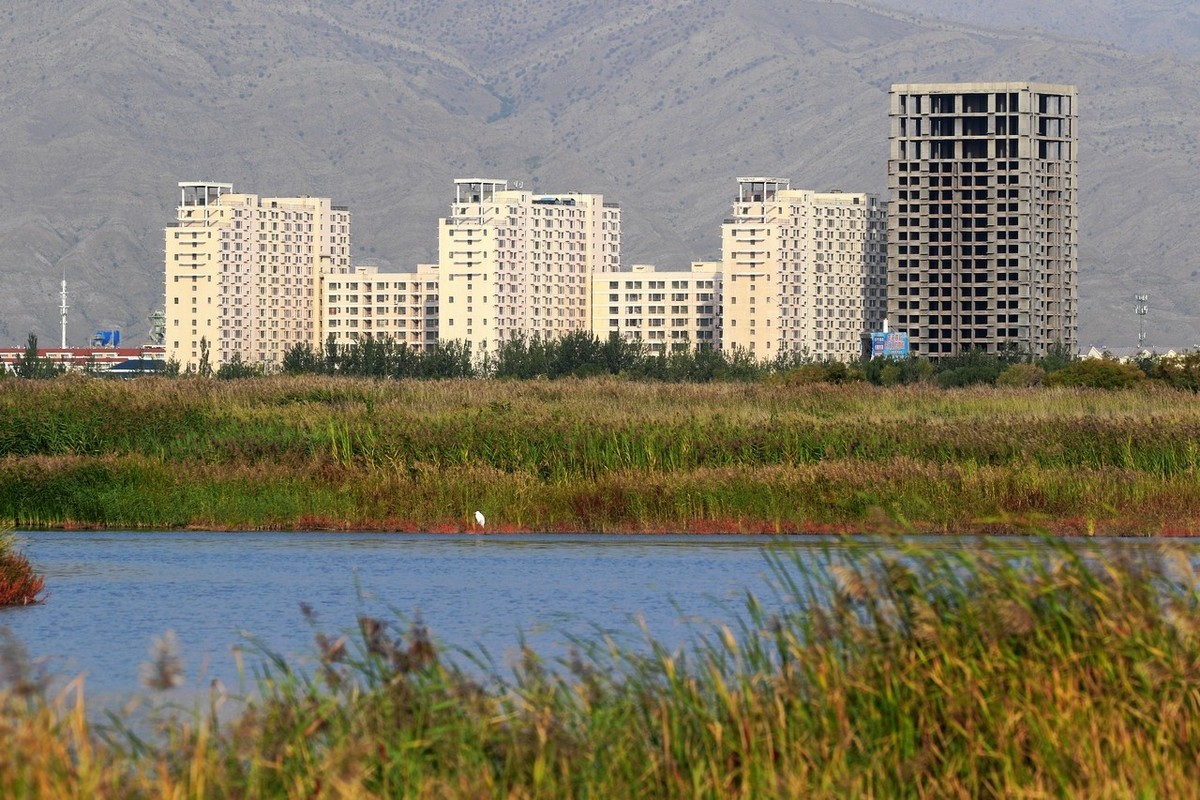 就近随拍了几张