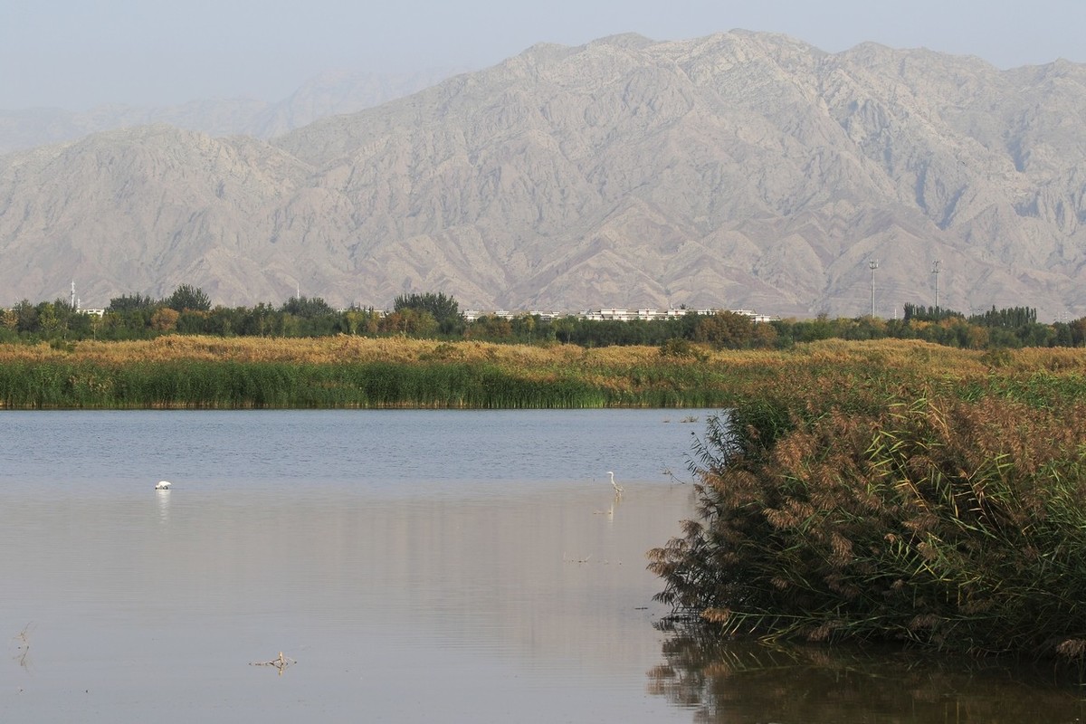 就近随拍了几张