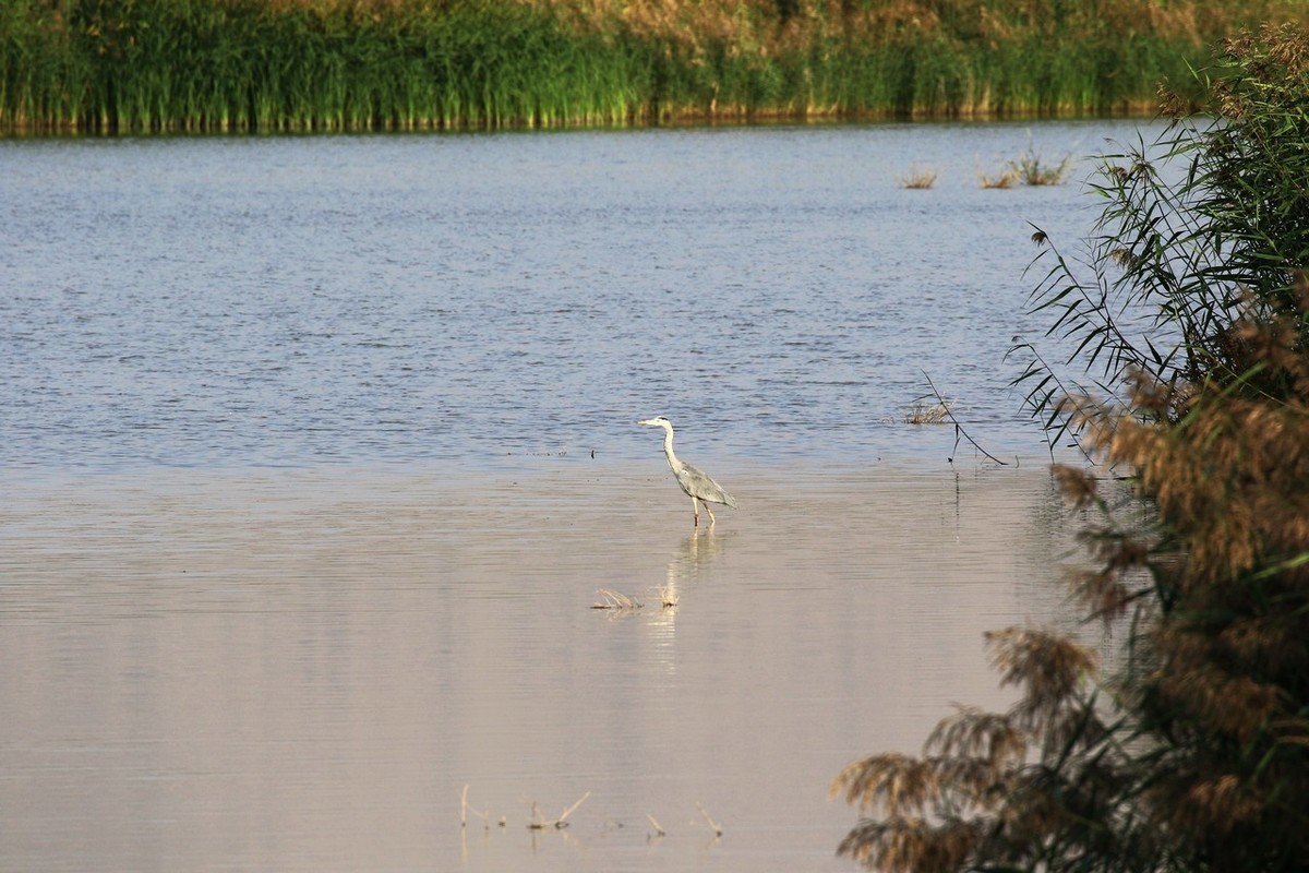 就近随拍了几张