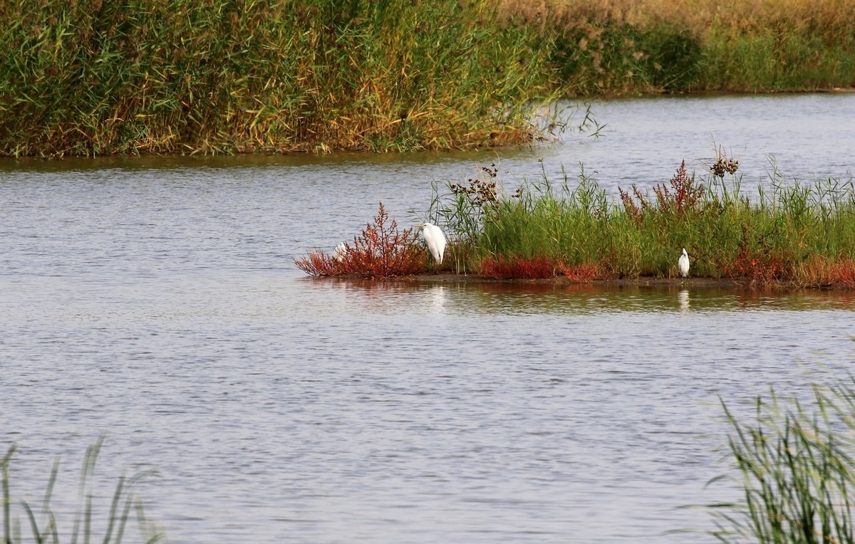 就近随拍了几张