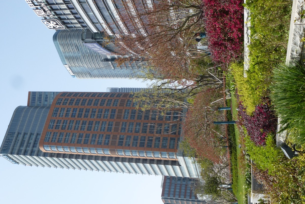 上海北外滩随拍（1）