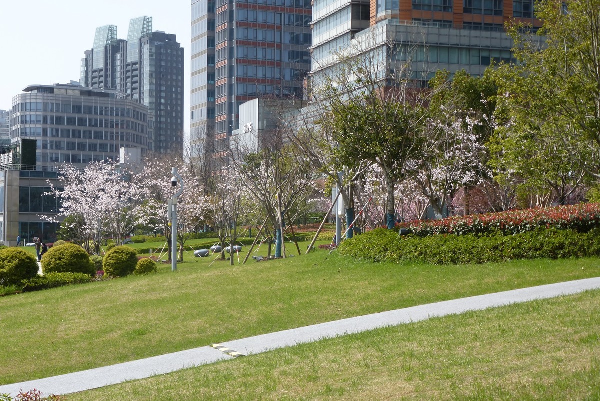 上海北外滩随拍（1）