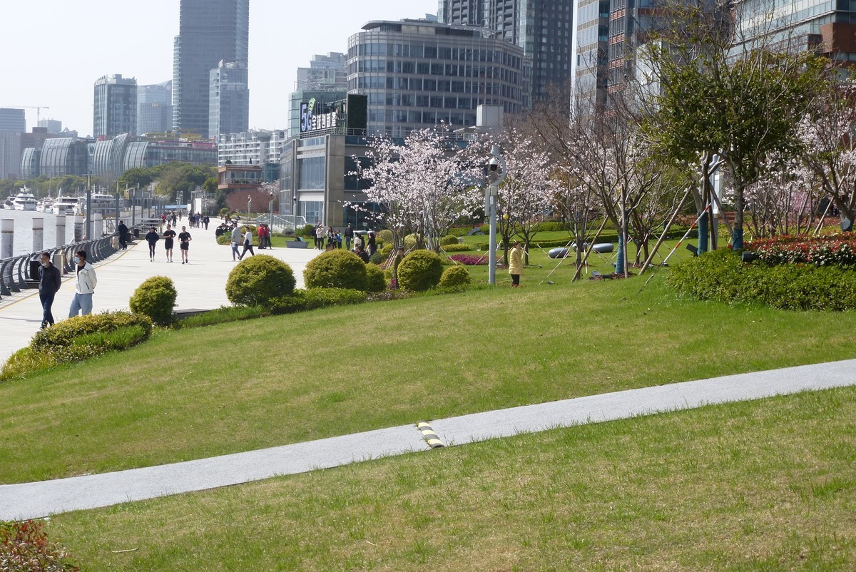 上海北外滩随拍（2）