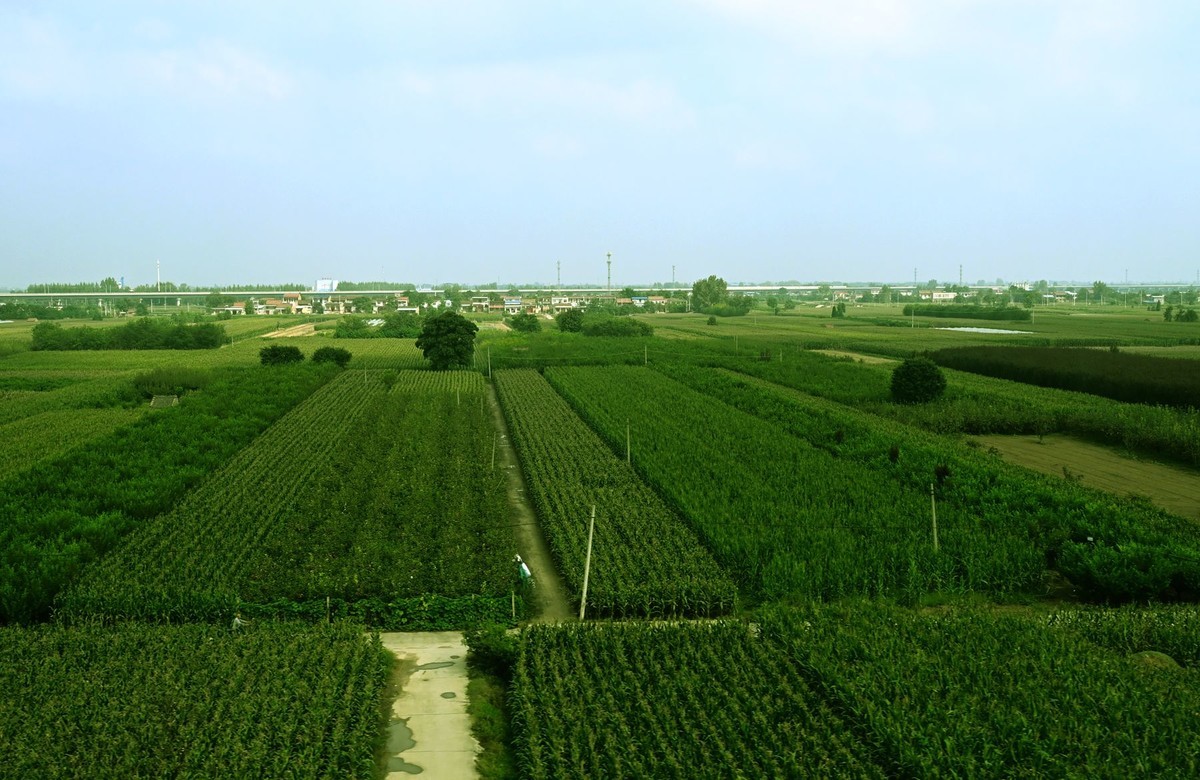 西安至华山高铁路旁风光随拍