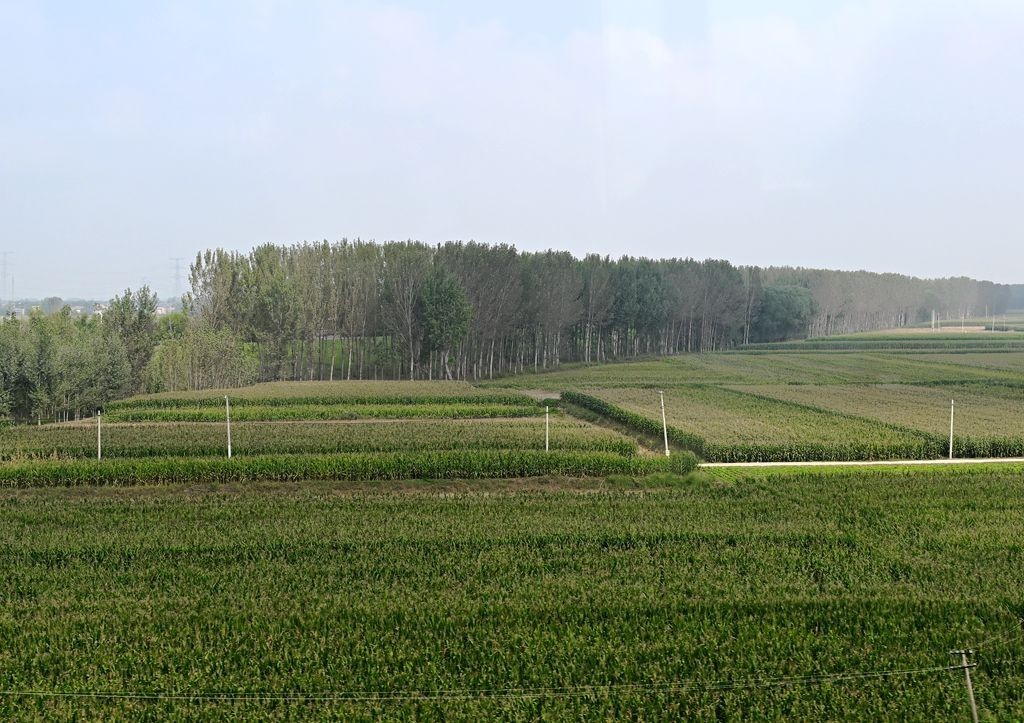 西安至华山高铁路旁风光随拍