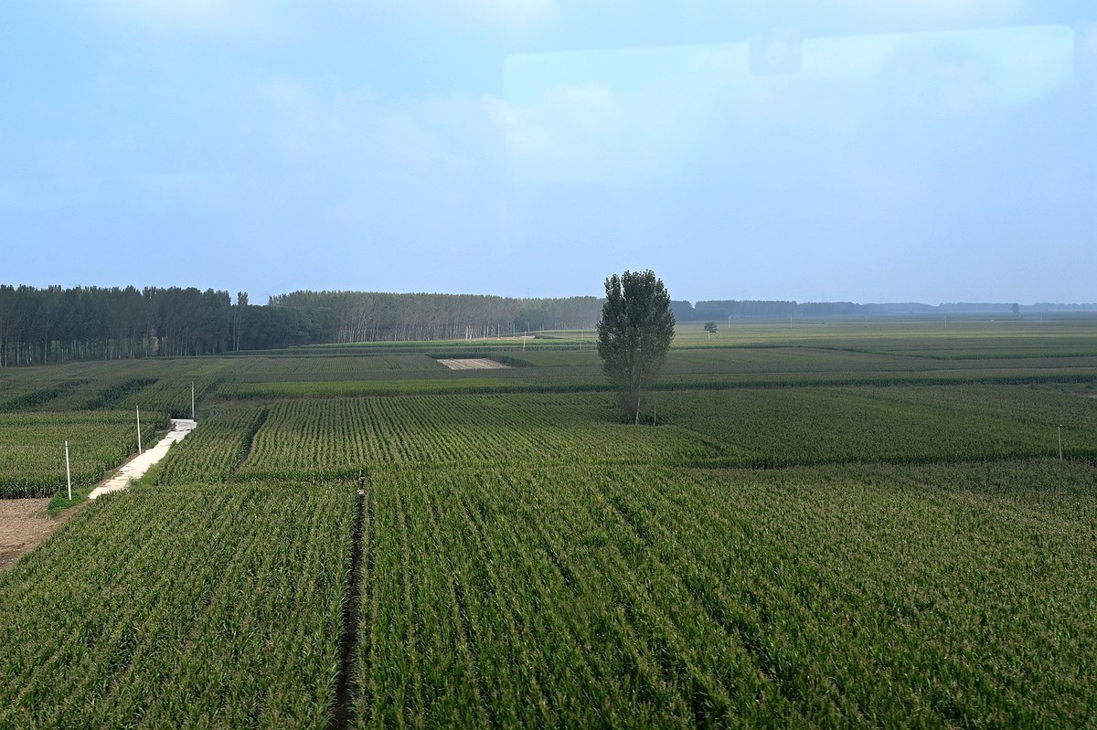 西安至华山高铁路旁风光随拍