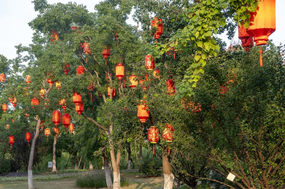 庐州印象（386）