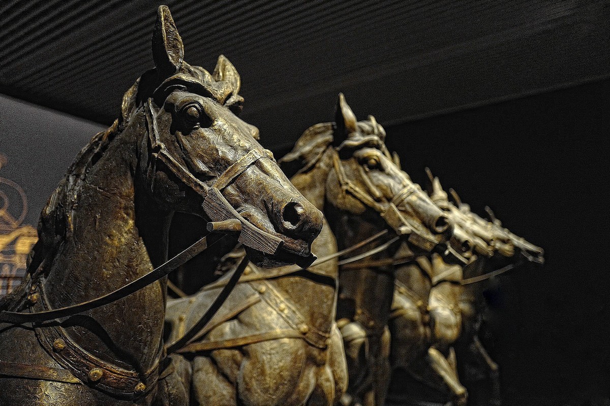 博物馆马车出行