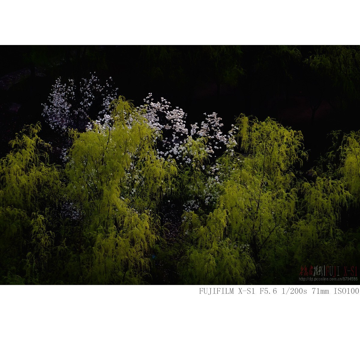 可望不可即的春天