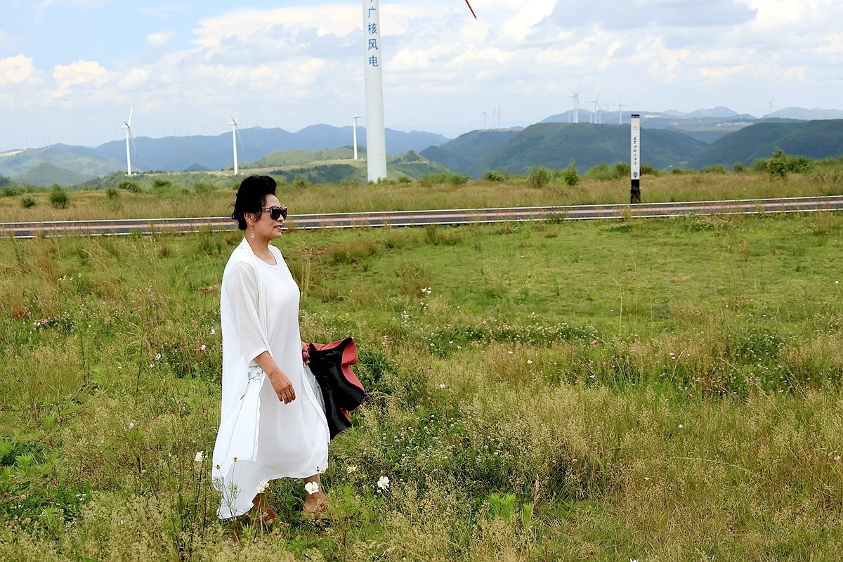 老婆 婆游龙里油画草原