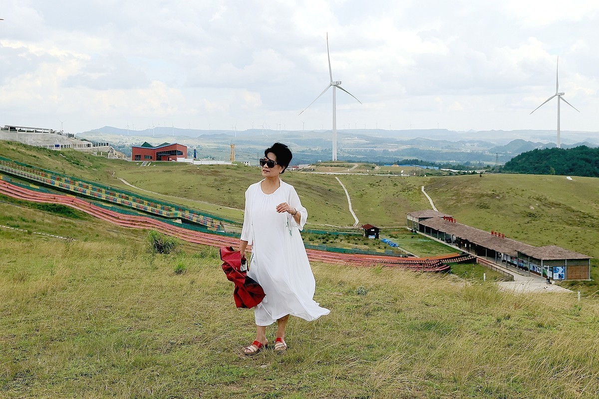 老婆 婆游龙里油画草原
