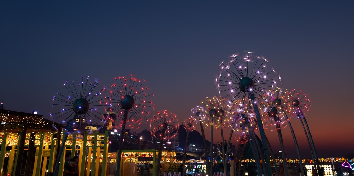 东岸公园观日赏花灯