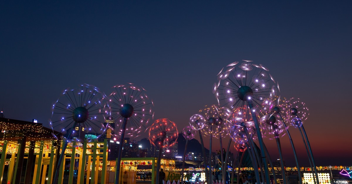 东岸公园观日赏花灯