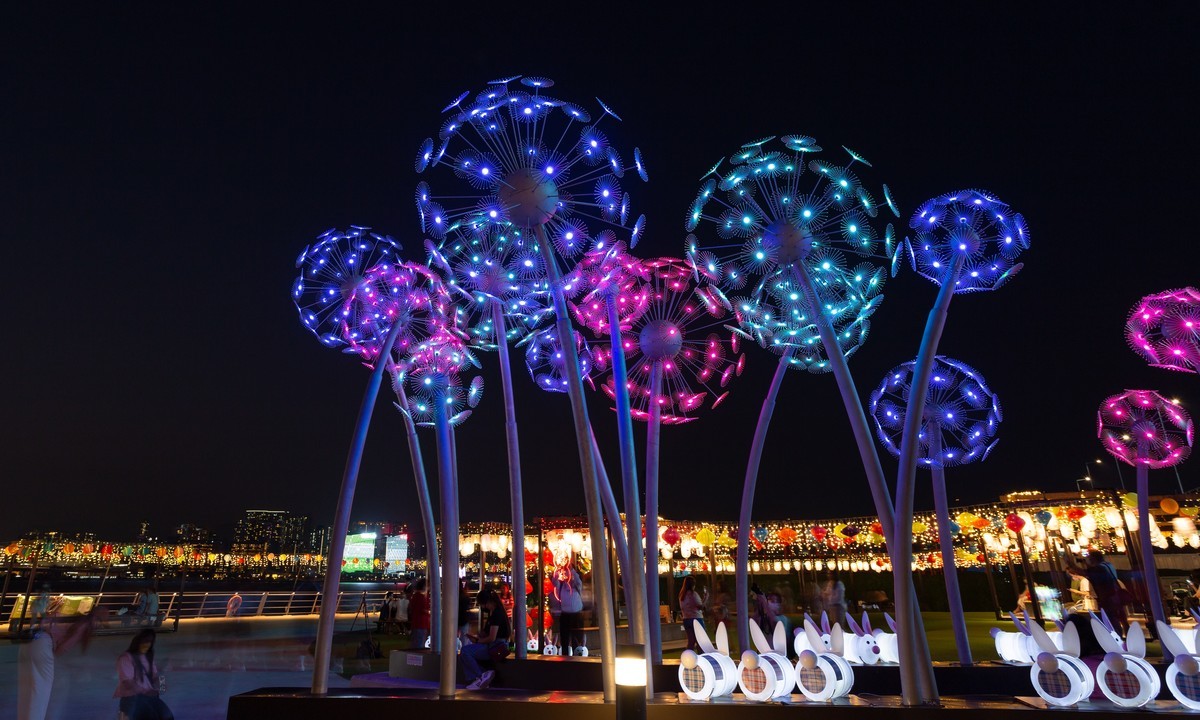 东岸公园观日赏花灯