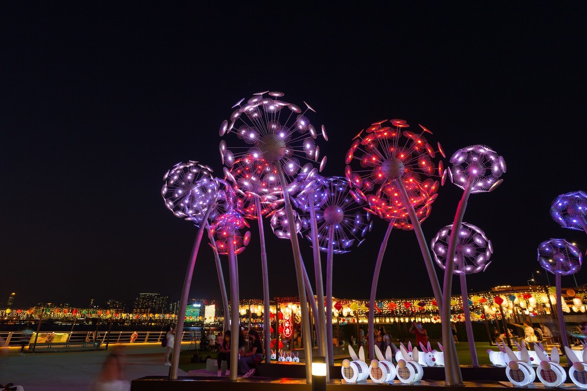 东岸公园观日赏花灯