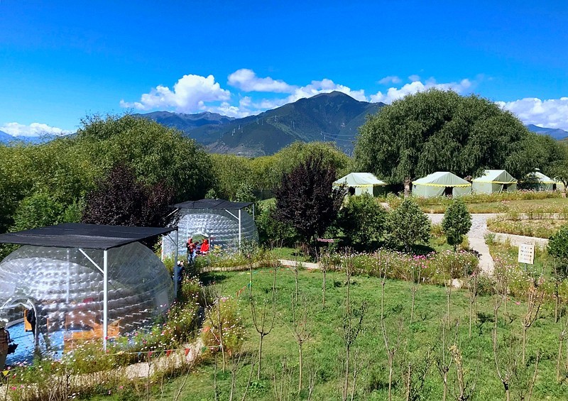 【不老松：游摄纪实】：〔12〕西藏风情！雅尼国家湿地公园！