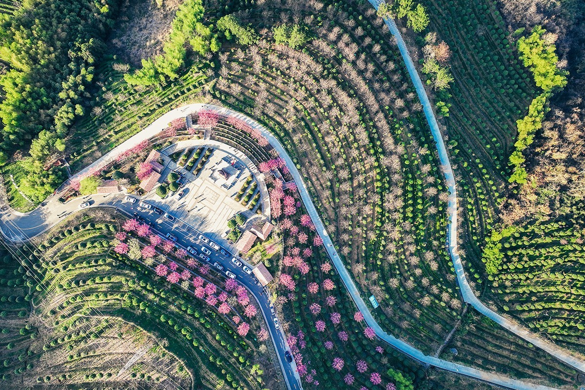 #花开春光寻美景#--换个视角看春暖花开