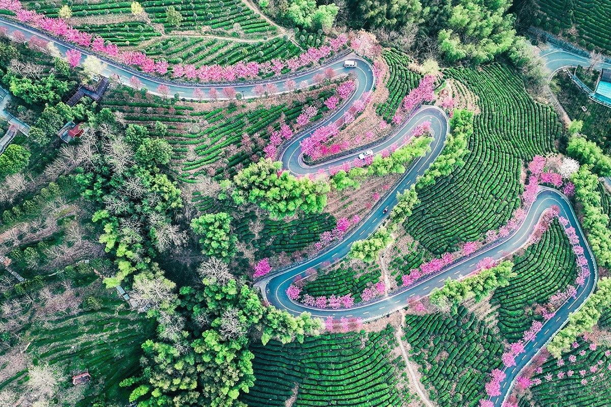 #花开春光寻美景#--换个视角看春暖花开