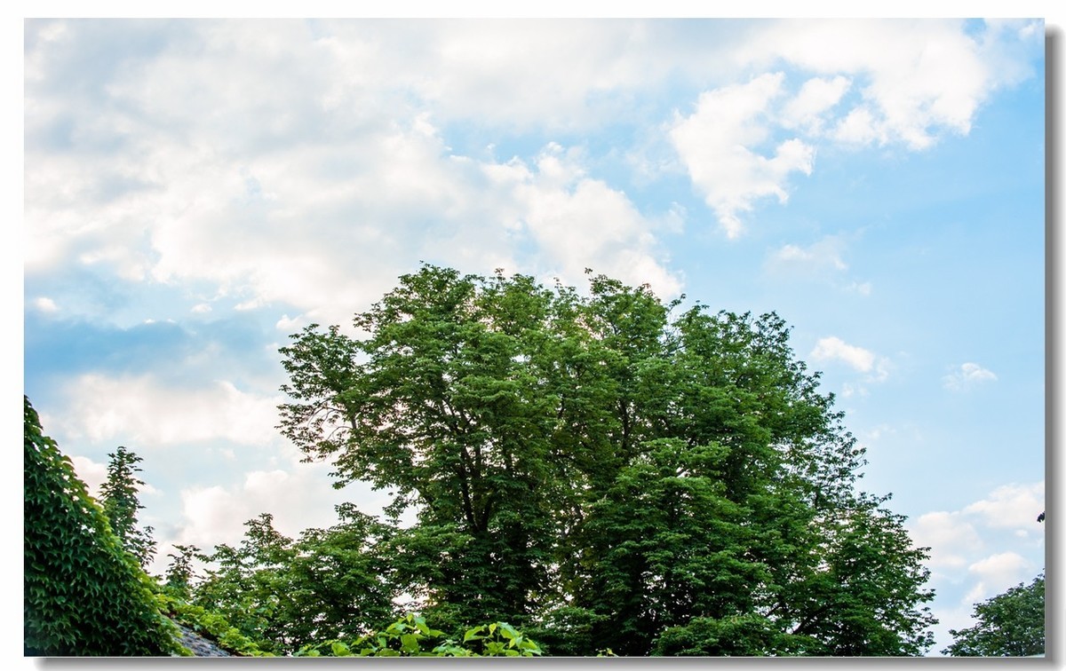 青山依旧，夕阳几度